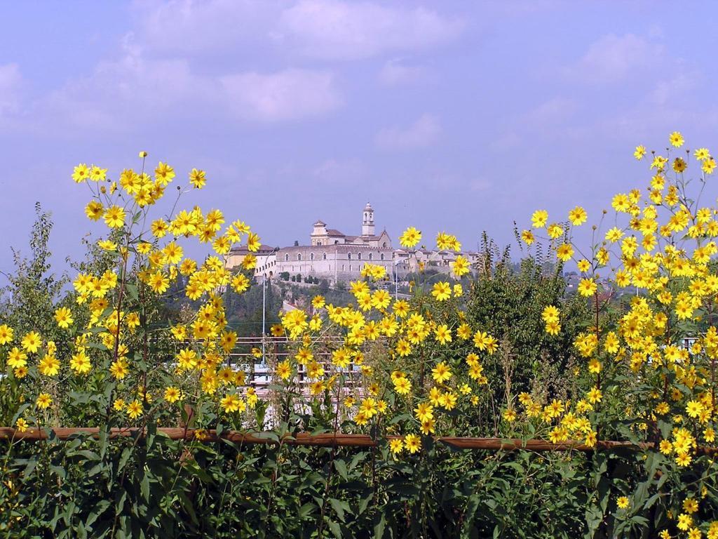 Il Poggiolo Delle Rose Bed&Breakfast Tavarnuzze Exterior photo