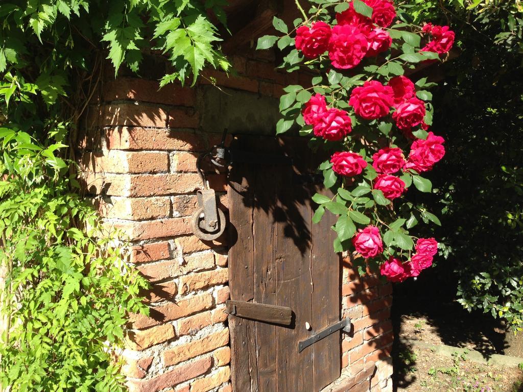 Il Poggiolo Delle Rose Bed&Breakfast Tavarnuzze Exterior photo